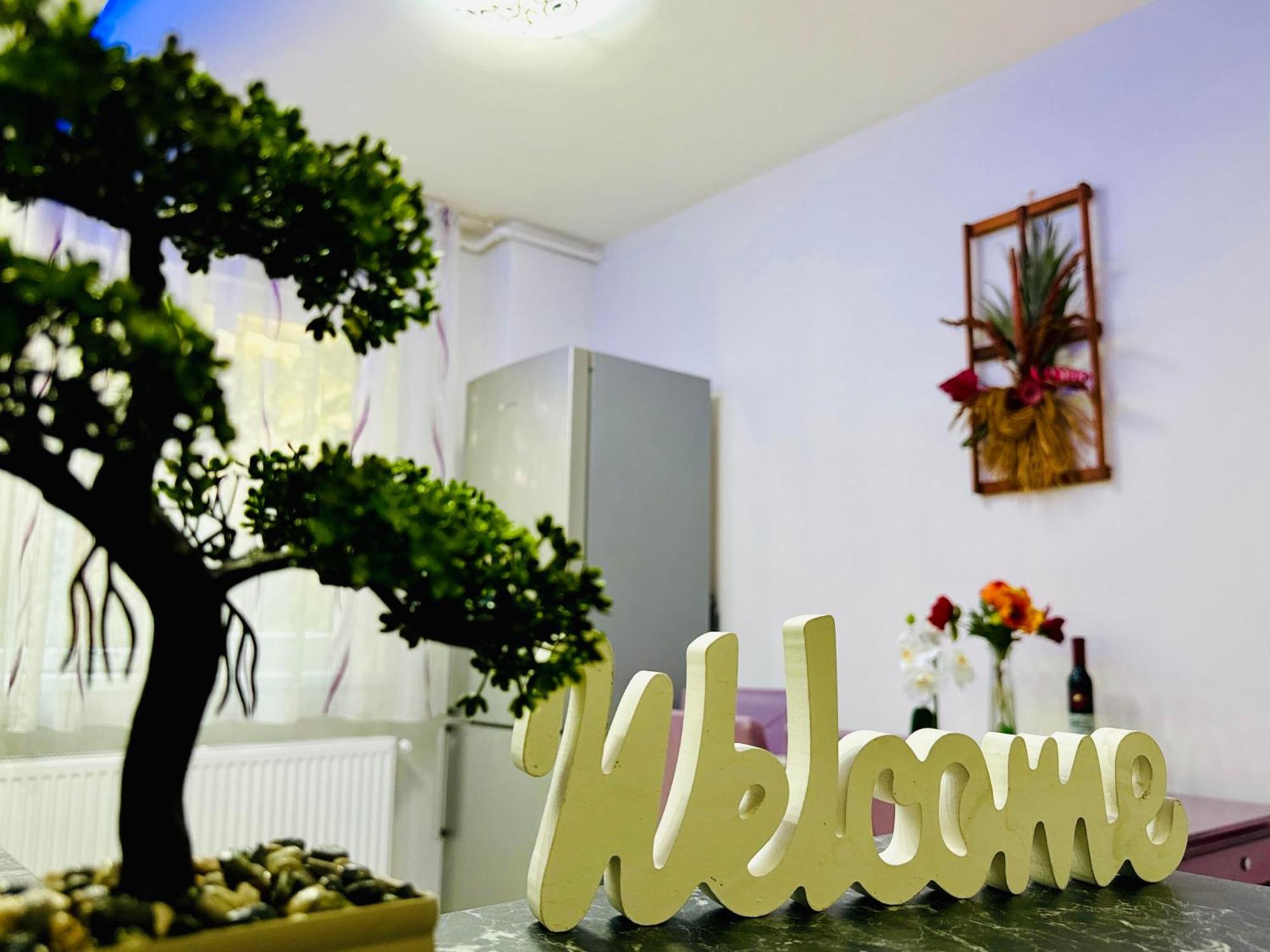 Joy City Stay Spacious Comfortable Timişoara Exterior foto