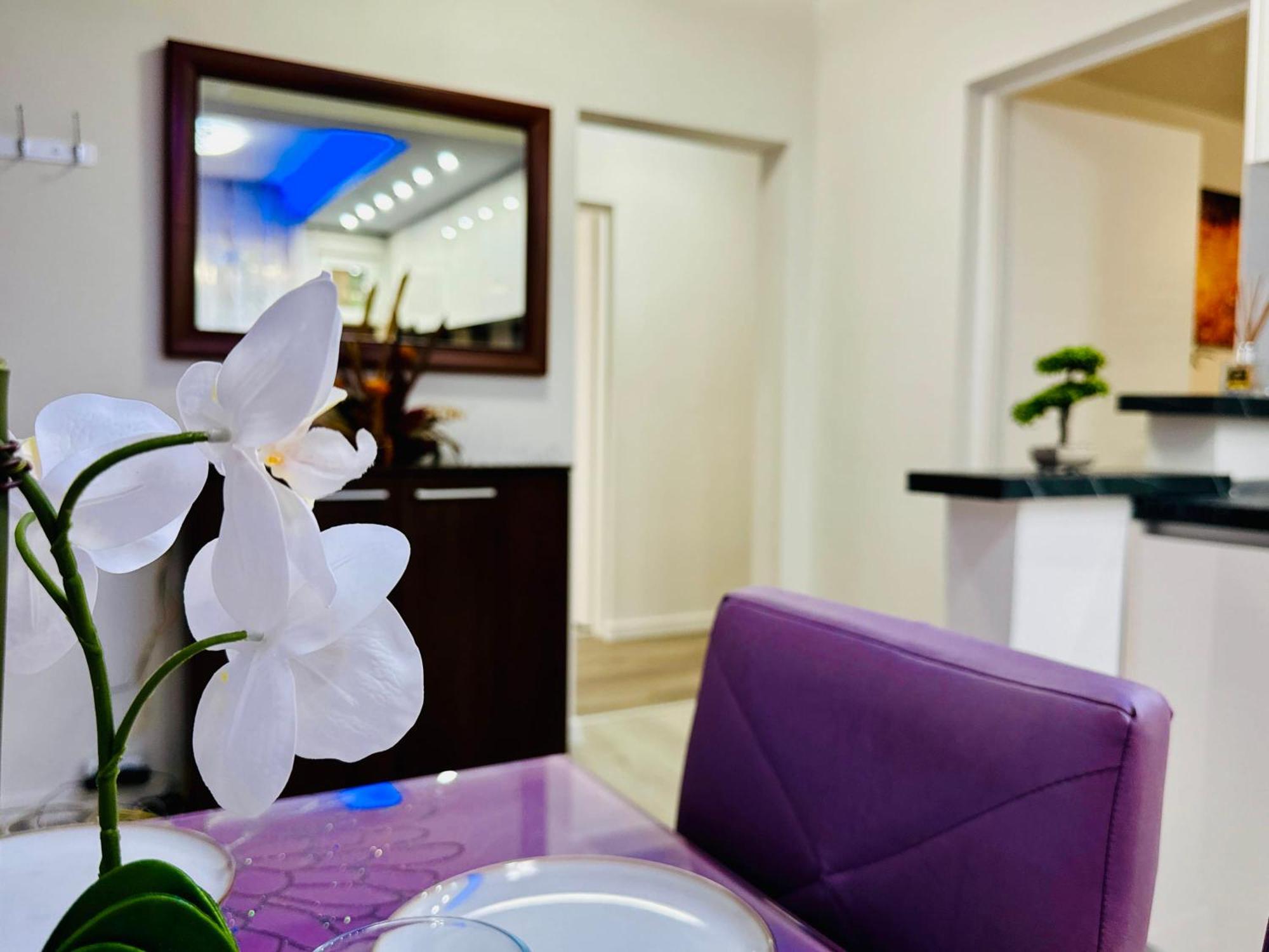 Joy City Stay Spacious Comfortable Timişoara Exterior foto